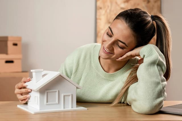 Loan Visual